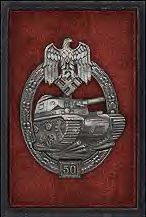 [panzer_assault_badge_50.jpg]