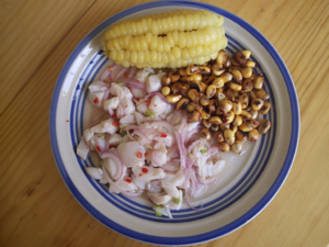 [300px-Ceviche.png]