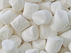 [marshmallow-708809.jpg]