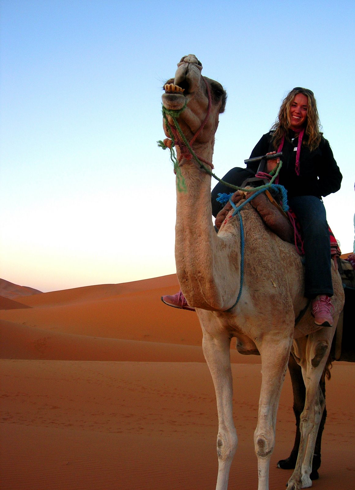 [Kristin+on+Camel1.jpg]
