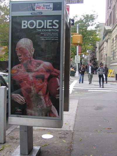 [bodies.jpg]