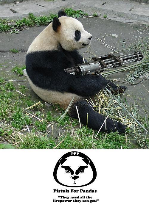 [pandas-need-guns.jpg]