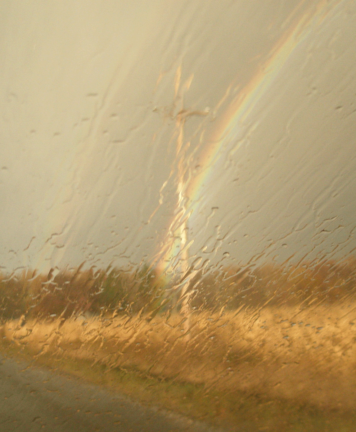 [rainbow1.gif]
