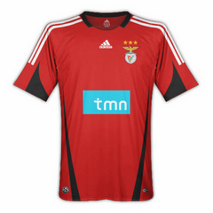 [Benfica_08_09copy.png]