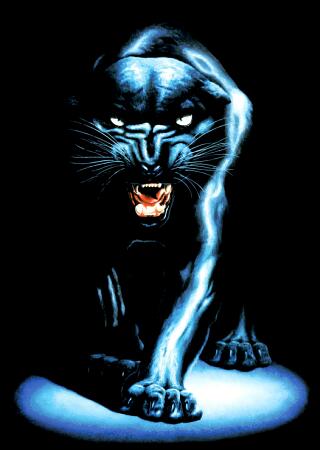 [anonymous-black-panther-5000217.jpg]