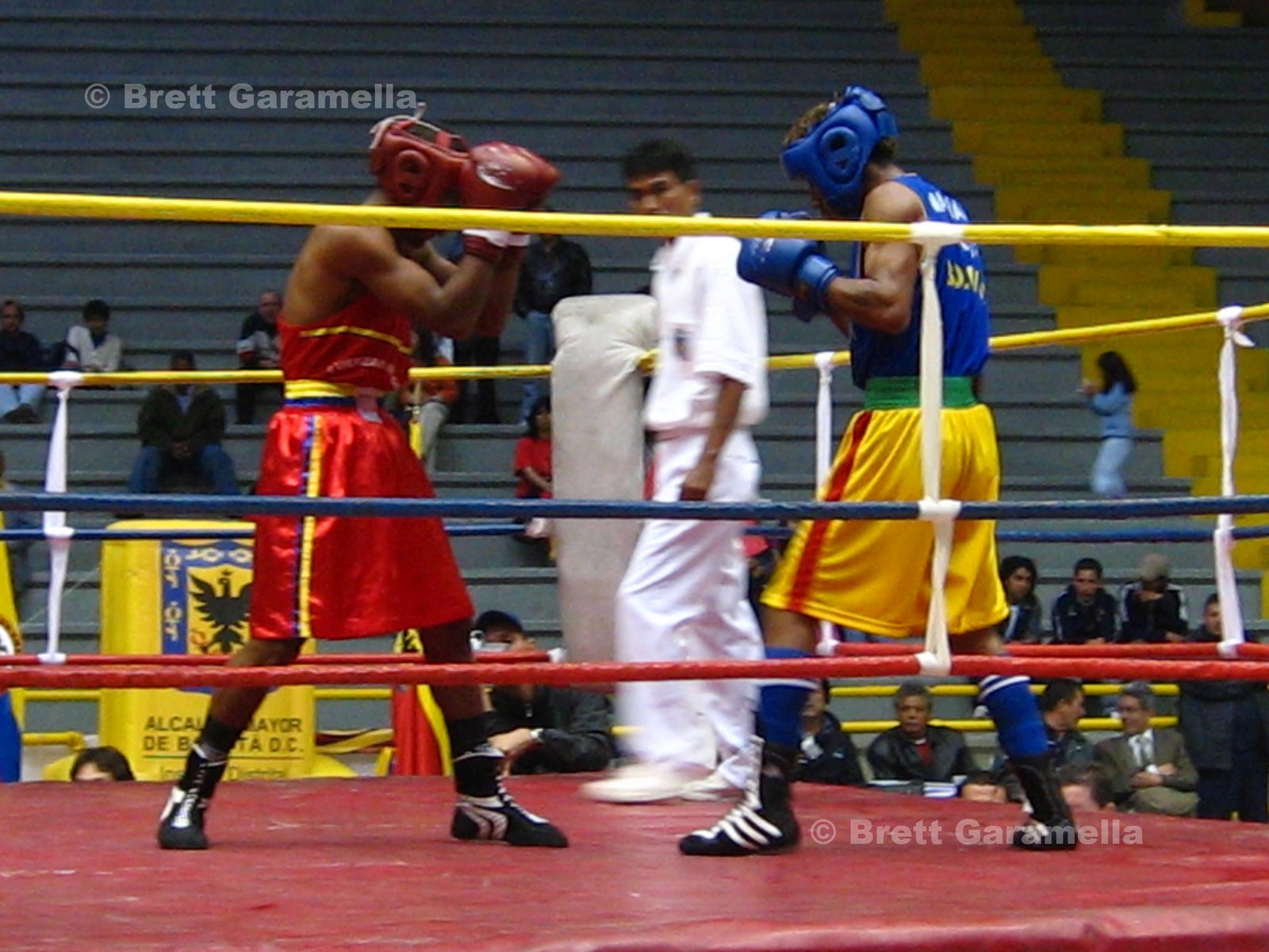 [Colombia+boxing+champ+6.jpg]