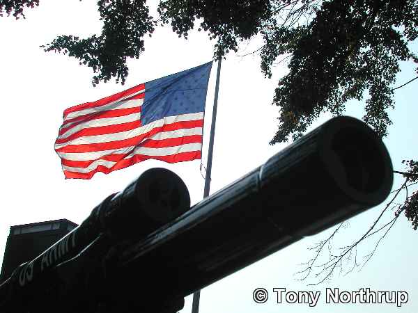 [american-flag-with-canon4.jpg]