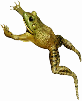 [frog_jumping.gif]