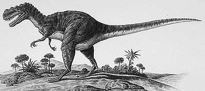 [Metriacanthosaurus.jpg]