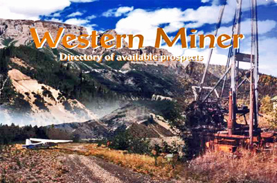 Western Miner