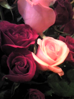 [roses+for+you.jpg]