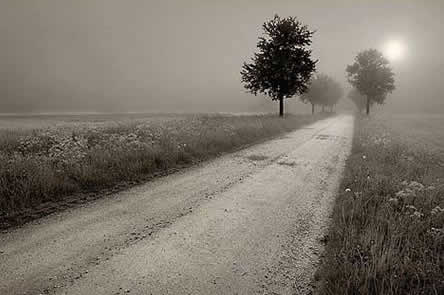 [road_in_fog.jpg]