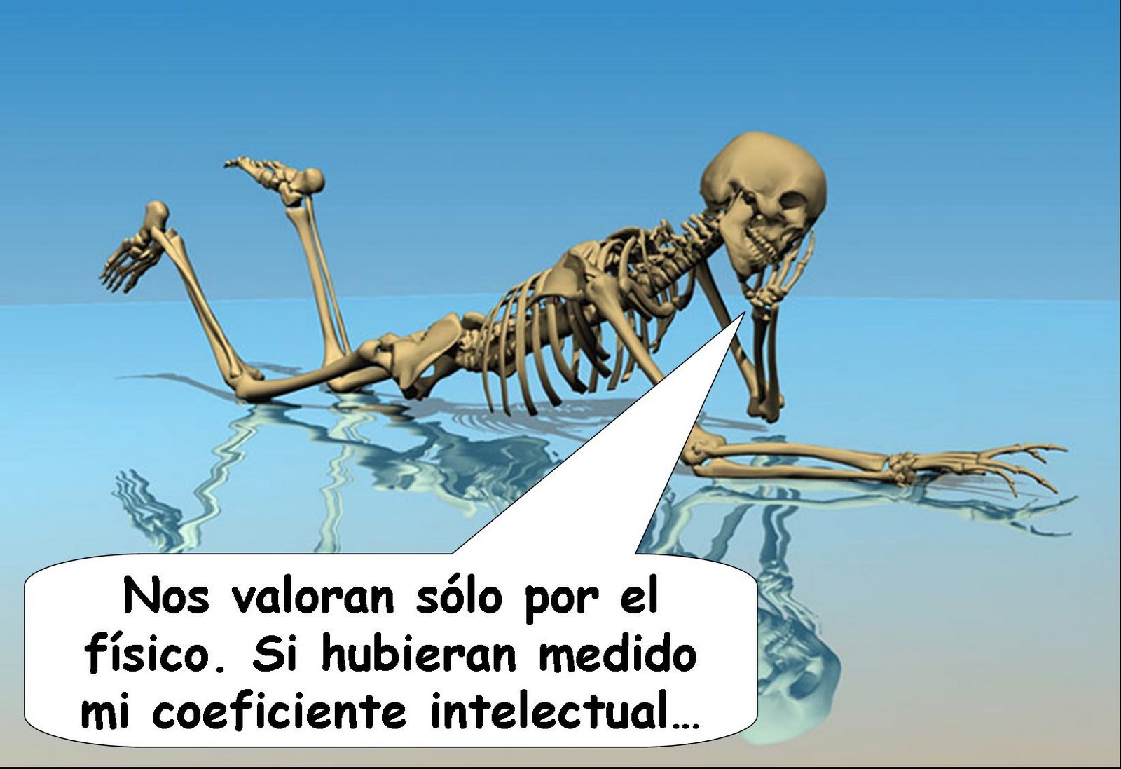 [esqueleto.jpg]