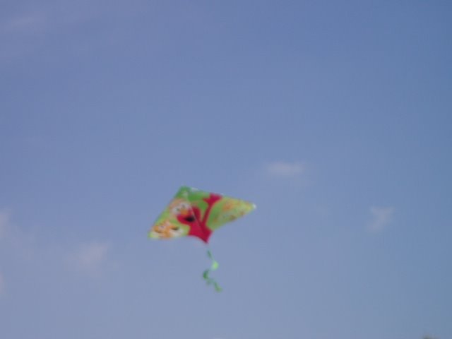 [April+8+2008+Lets+Go+Fly+a+Kite+(1).JPG]