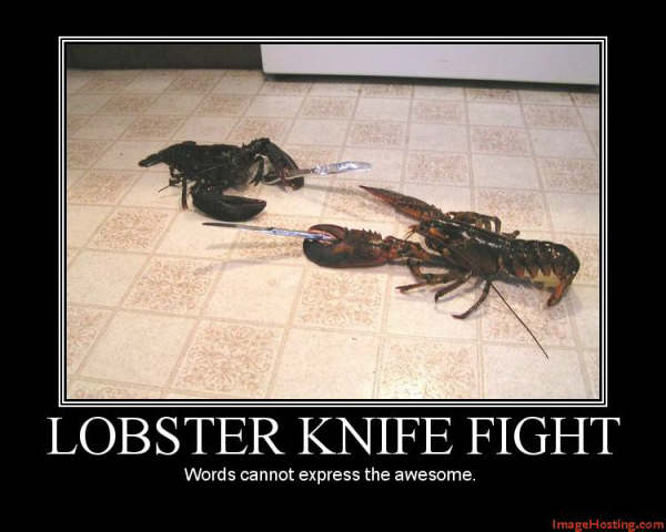 [lobster-714814.jpg]