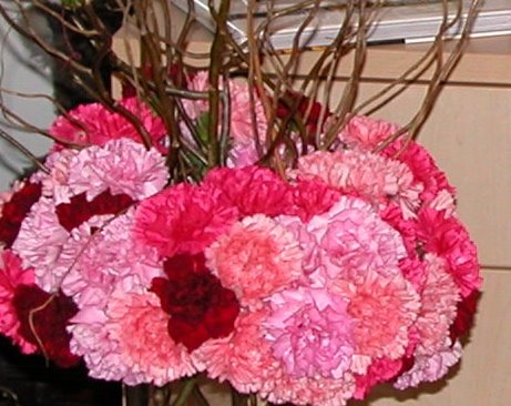[Bouquets+April+17,+2008+002-1.jpg]