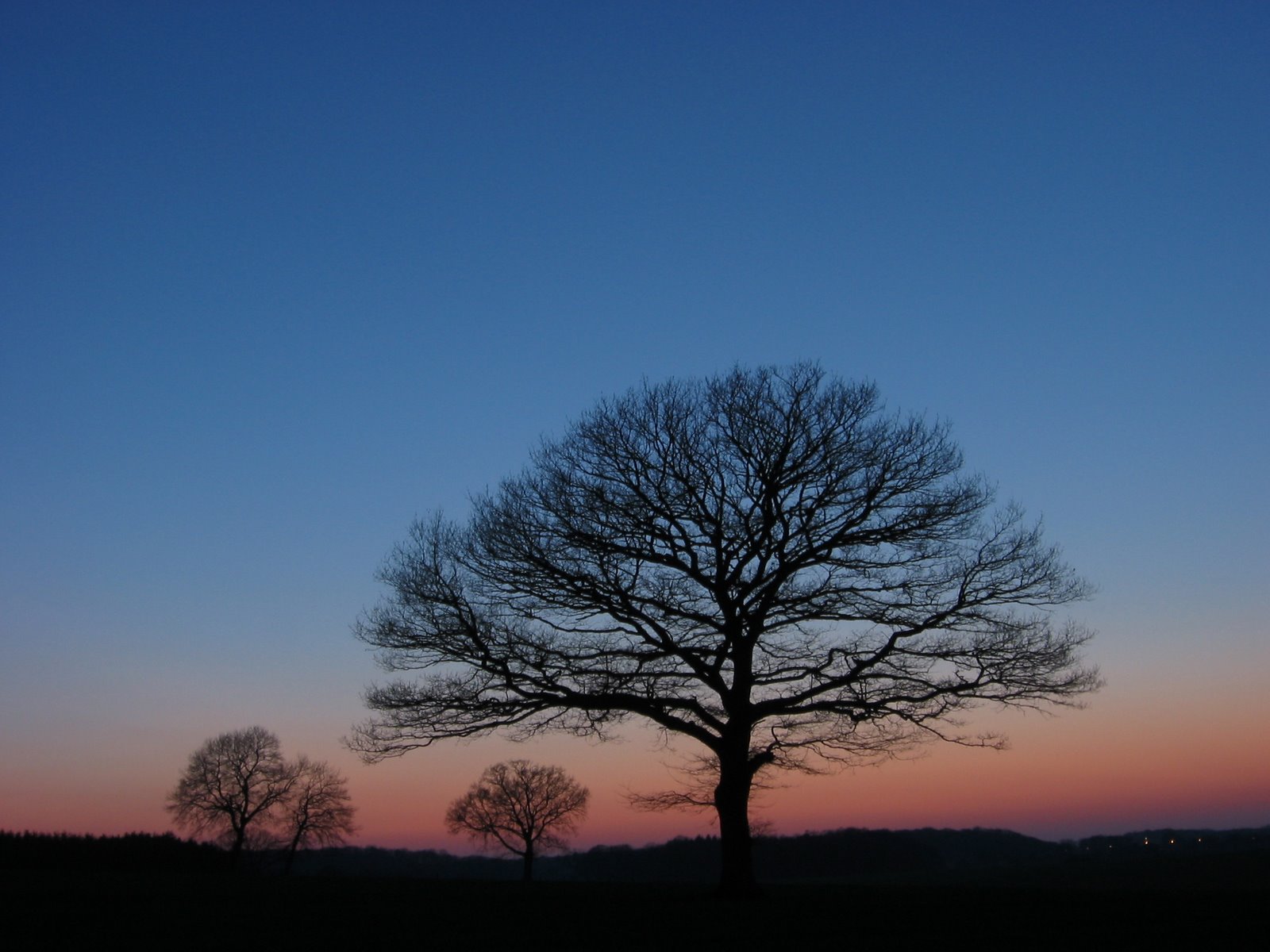 [twilight-evrange-trees-29mar2004-18h45z.jpg]