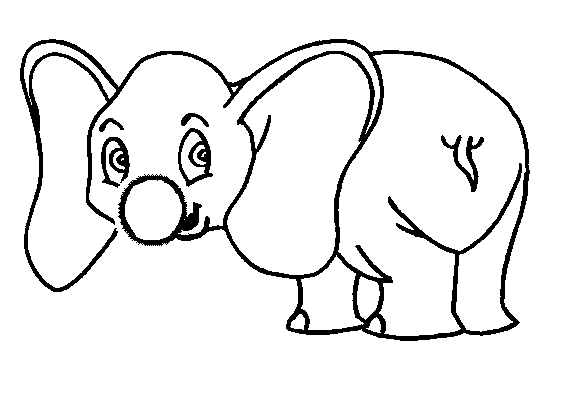[elefante-05.gif]