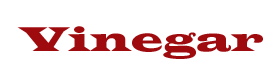 [Vinegar+logo(small).jpg]