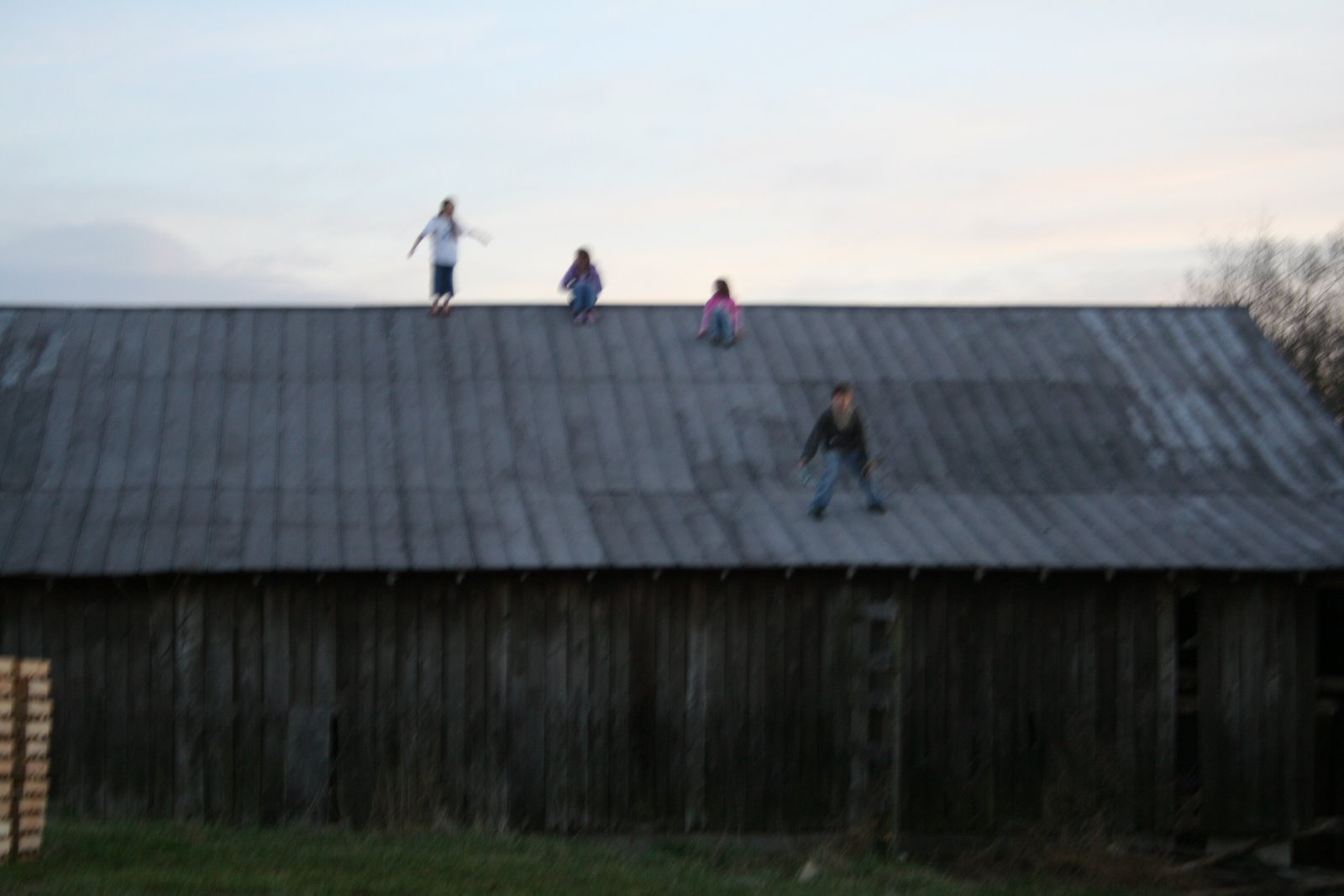 [on+the+barn+roof+1.JPG]