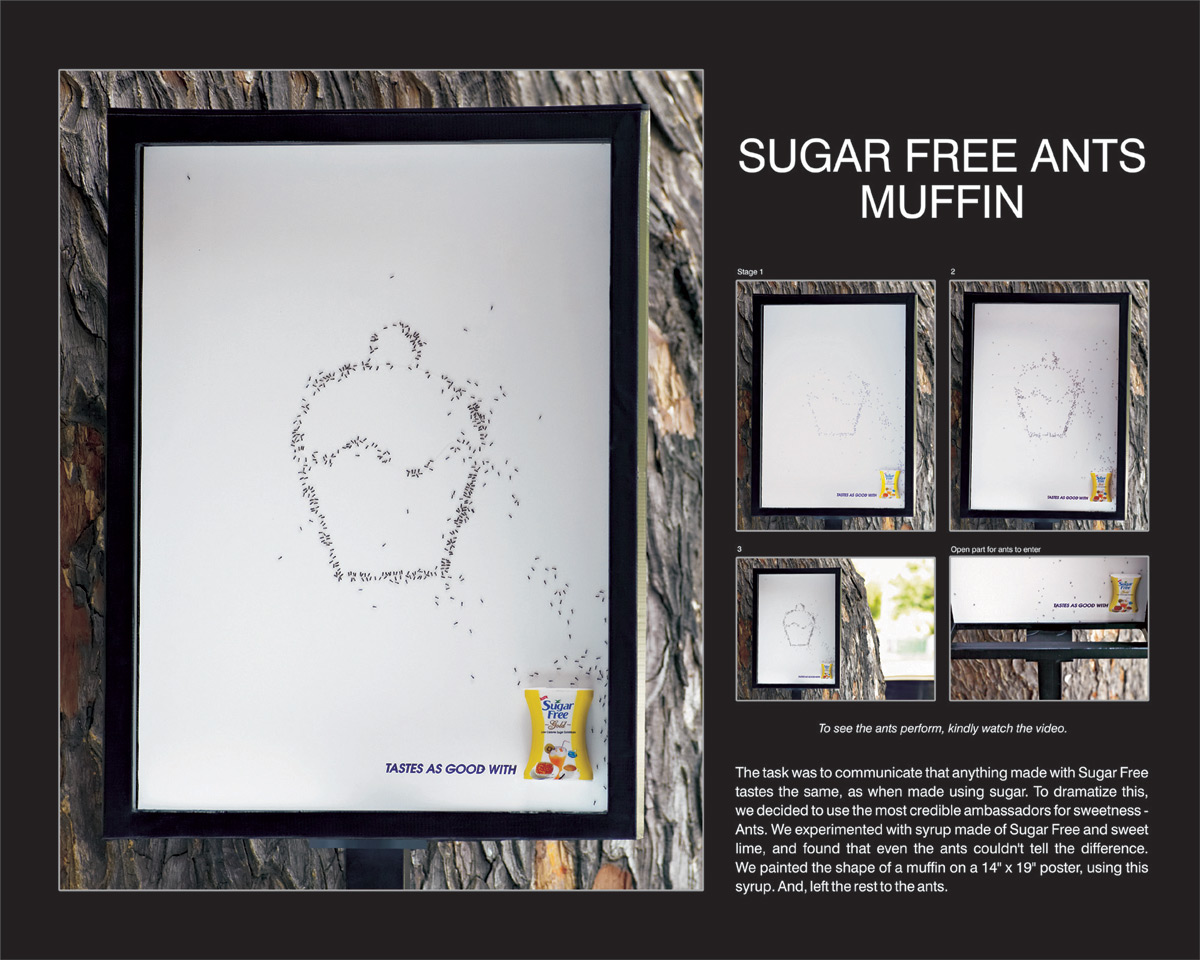 [sugar_free_ants_-_muffin.jpg]