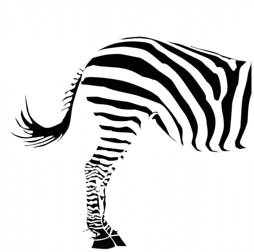 [zebra.jpg]