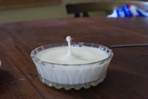 [saucer+of+milk.jpg]