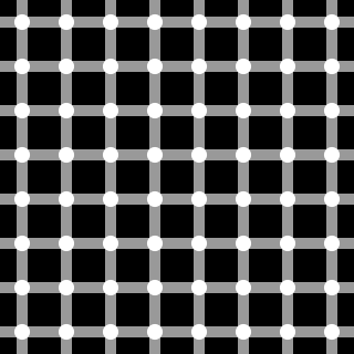 [320px-Grid_illusion.svg.png]