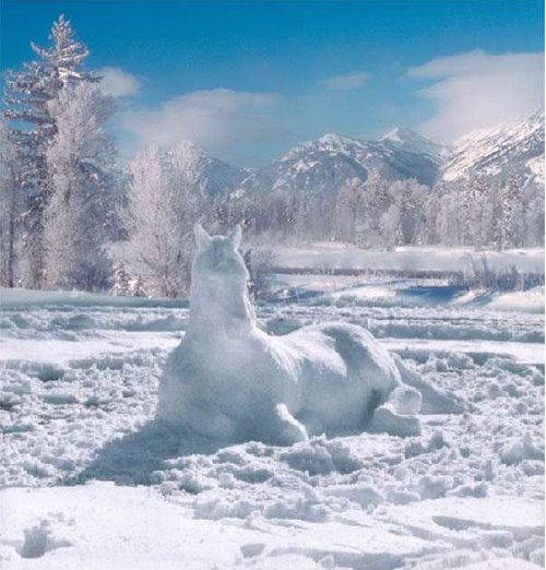 [snow_horse.jpg]