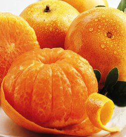[tangerines.jpg]