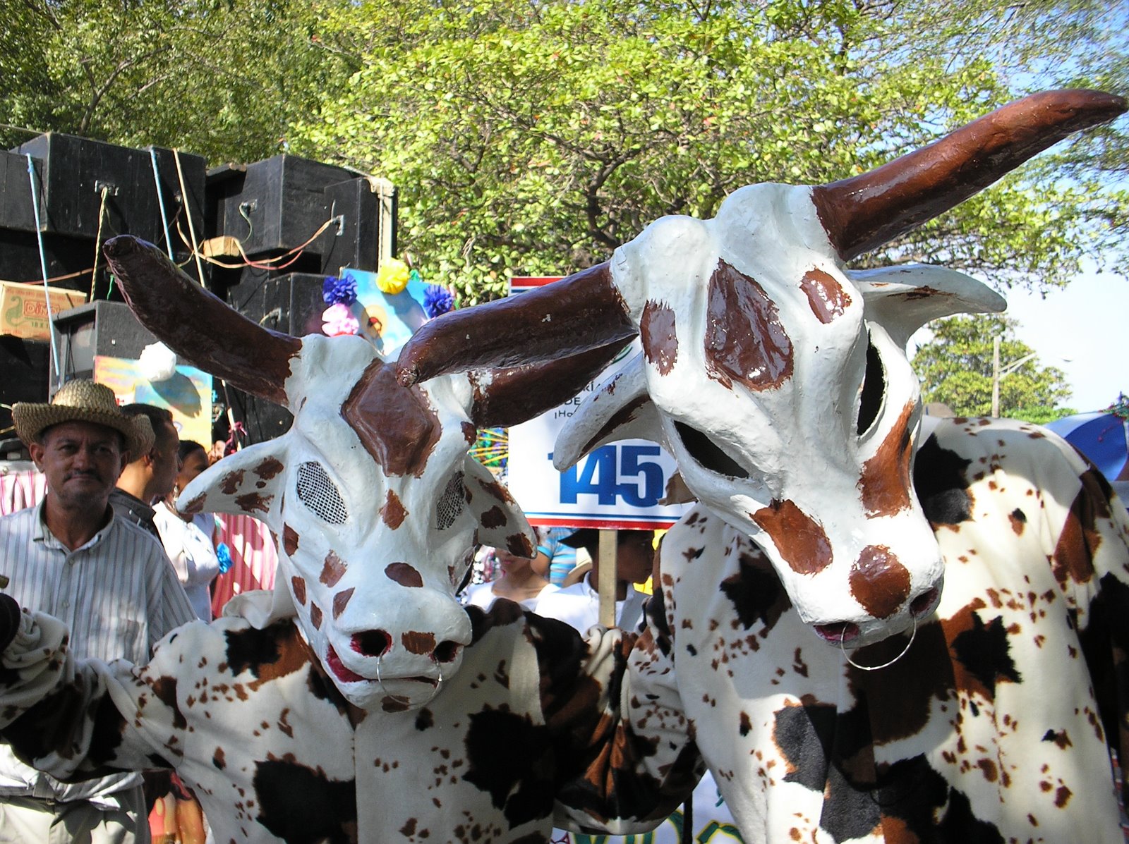 [vacas+en+el+carnaval.jpg]