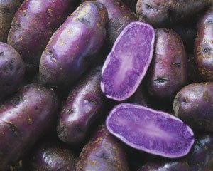 [purple+potatoes.bmp]