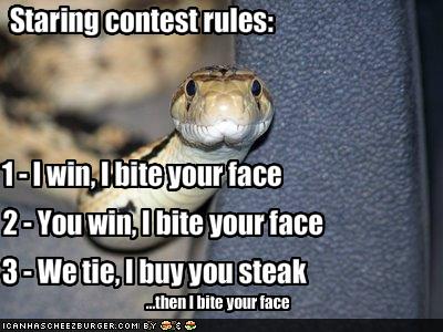 [funny-pictures-snake-will-bite-your-face.jpg]