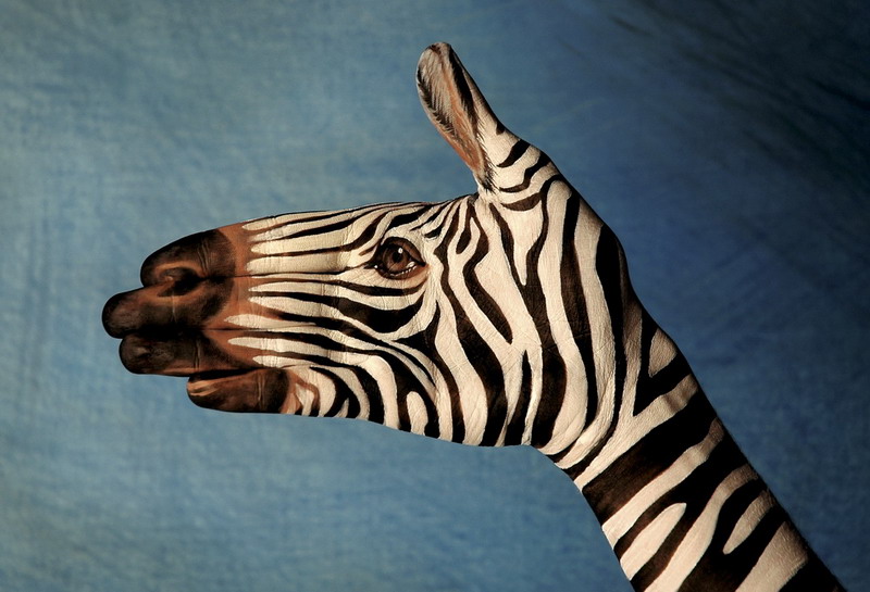 [zebra+by+Guido+Daniele.jpg]