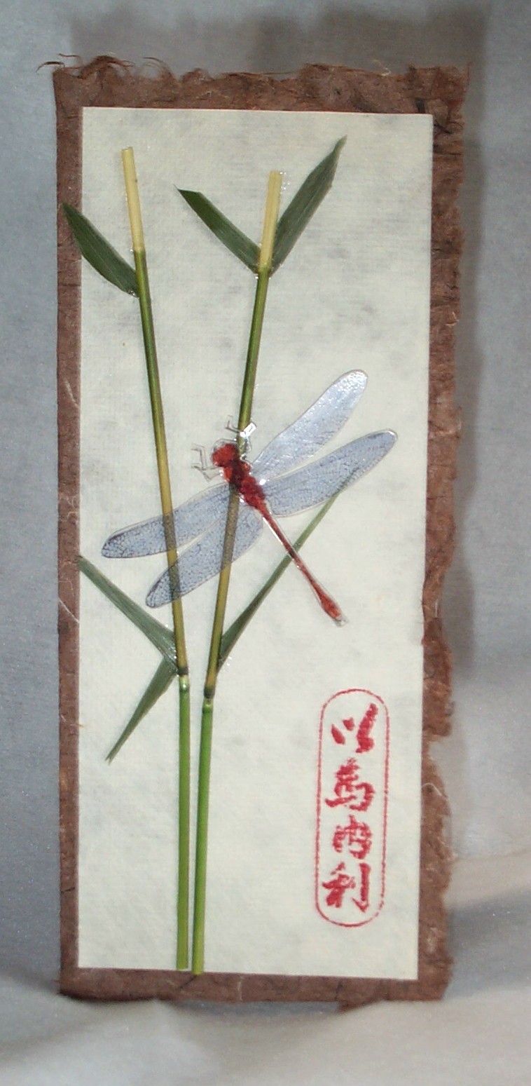 [The+Oriental+Dragonfly.jpg]