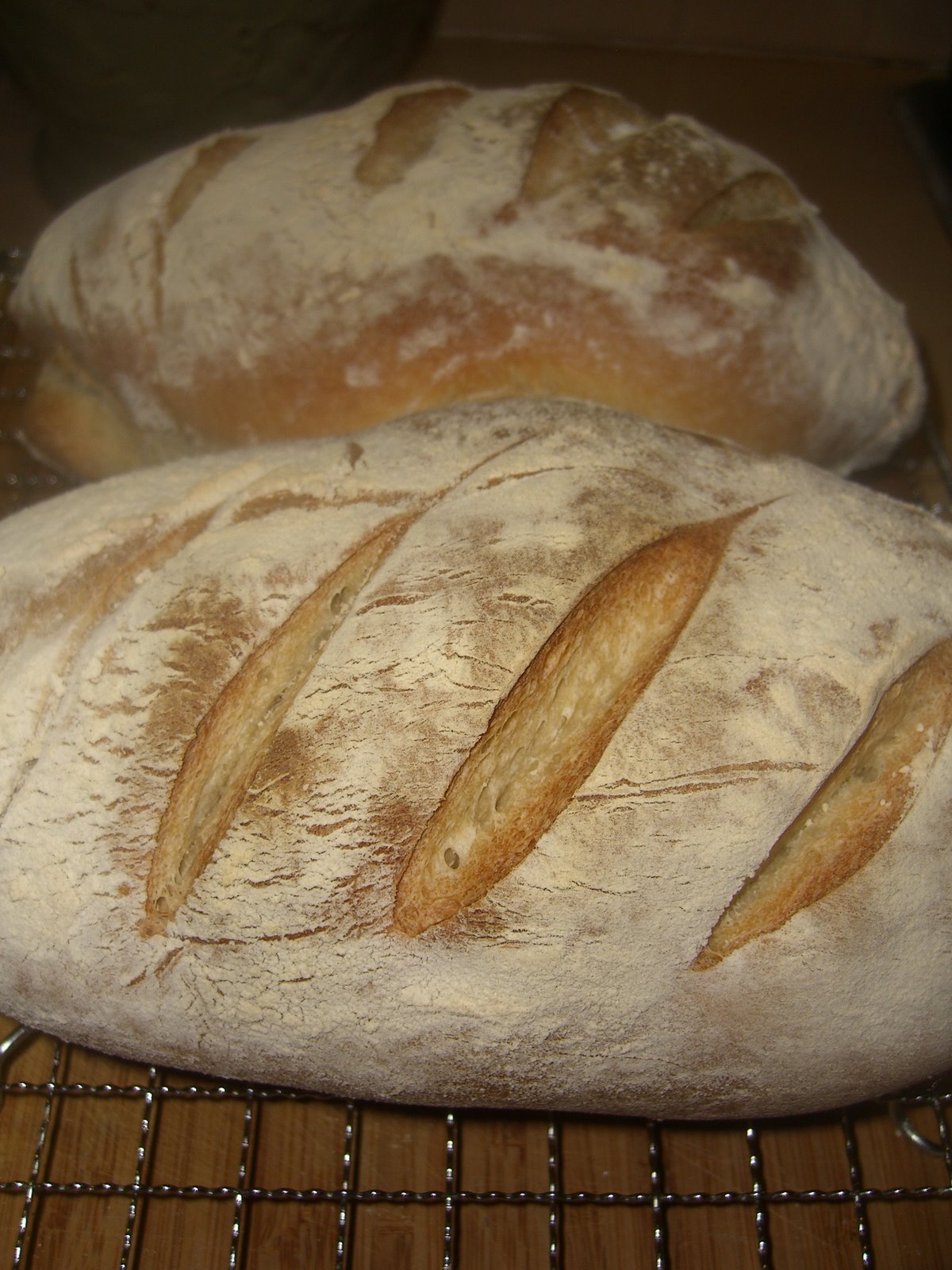 [Rustic+Bread+-+baked!.JPG]