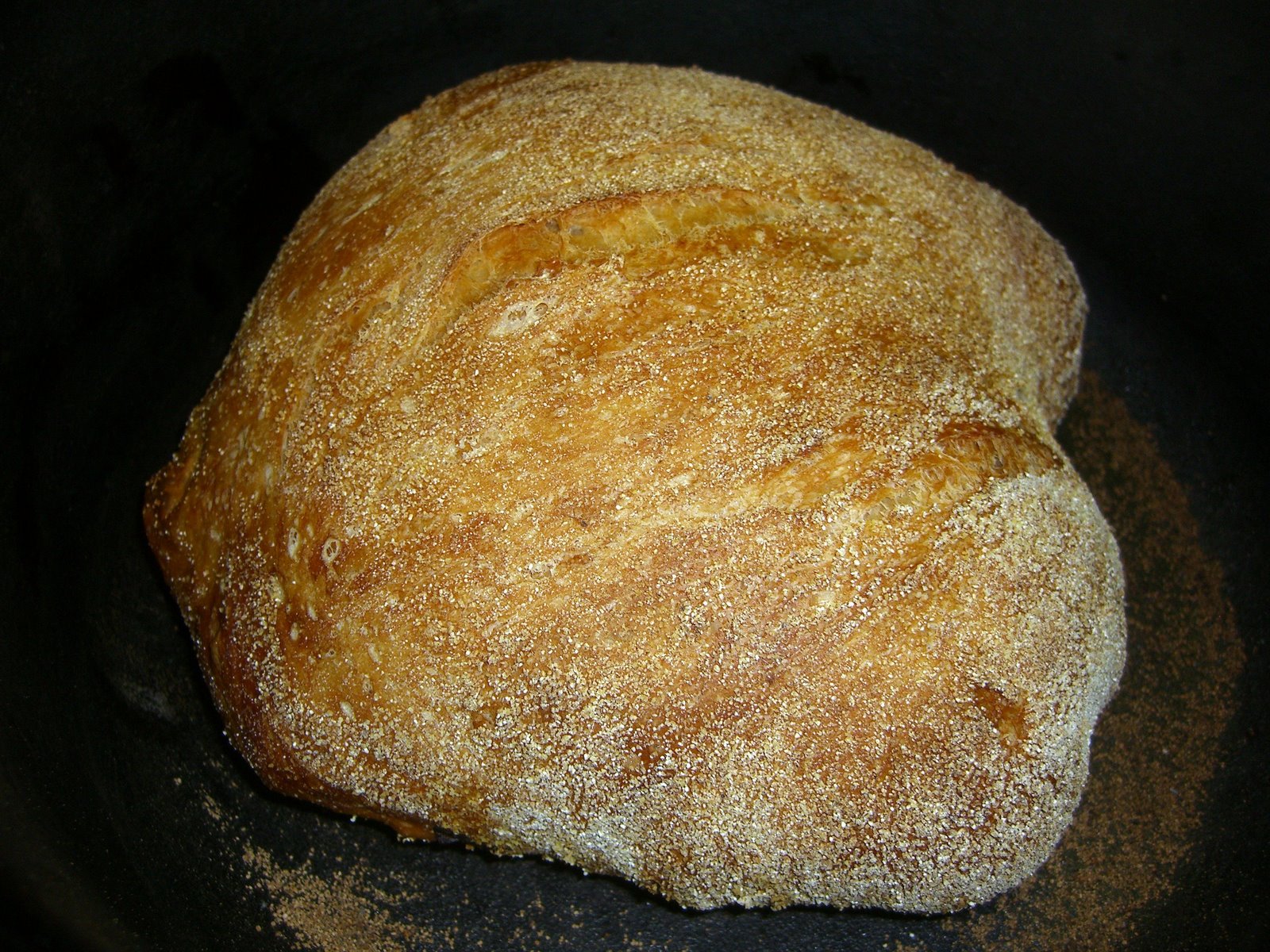 [No+Knead+Bread+oven.JPG]