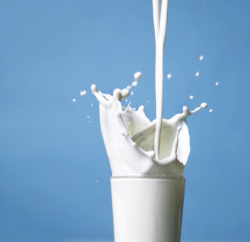 [Milk+splash.jpg]