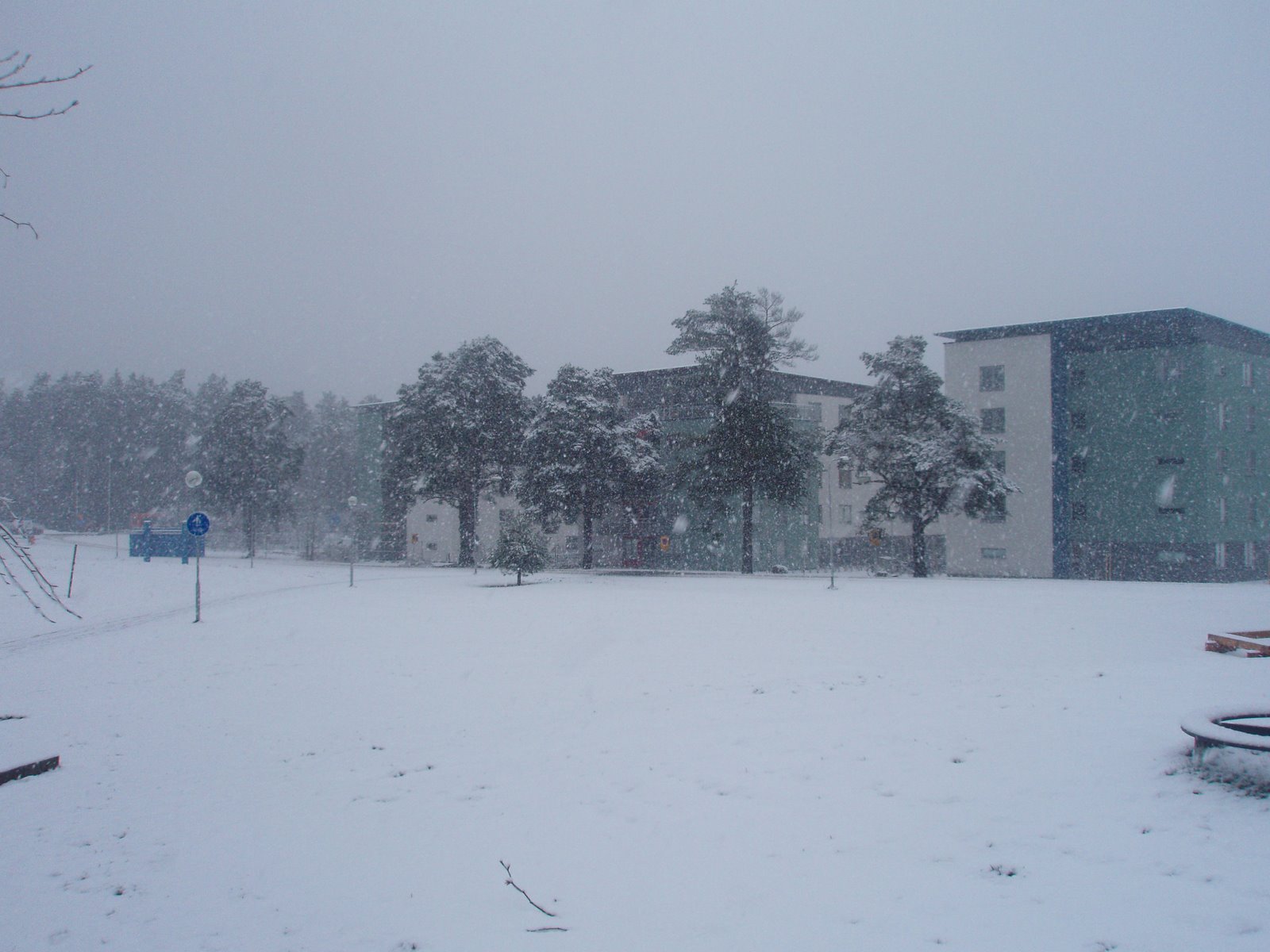 [March+snow+Colonia.JPG]