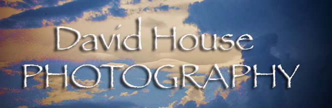 David House Photography