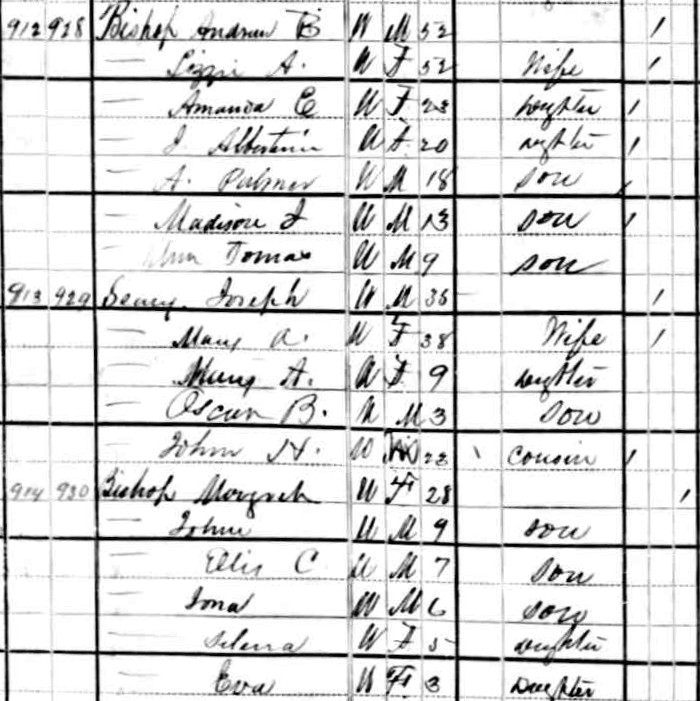 [1880+Census+-+Margret+Bishop.jpg]