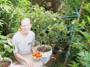 [52+-+Me+harvesting+tomatoesS.jpg]