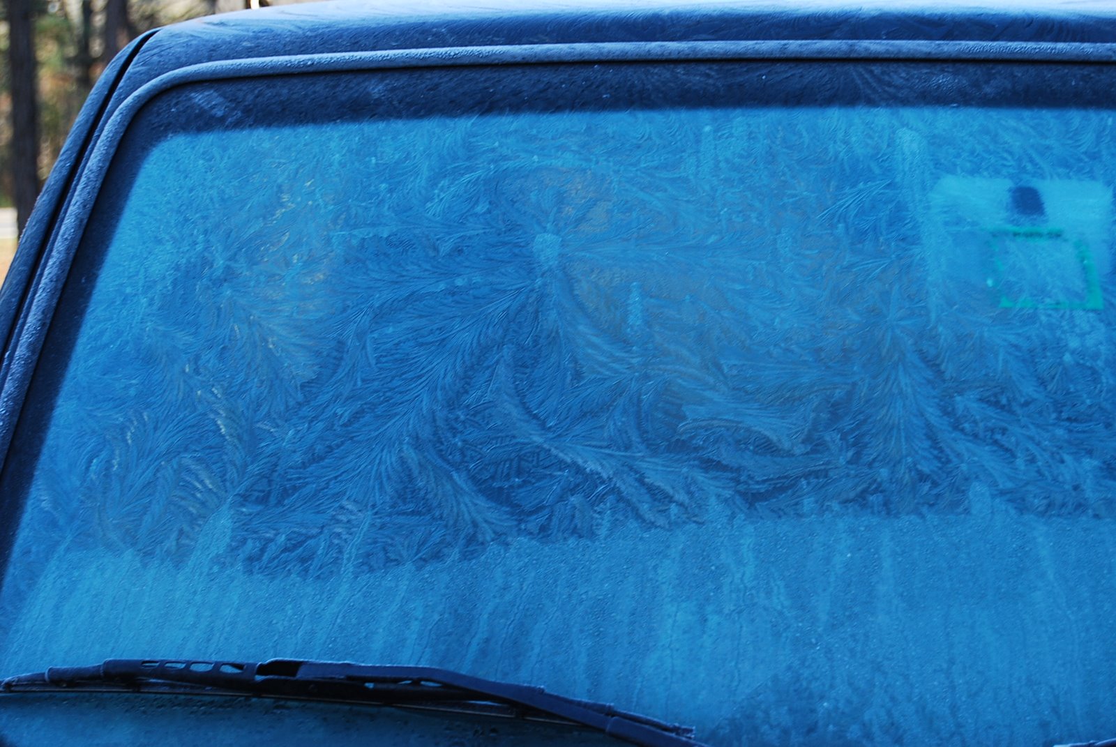 [frost+windshield.JPG]