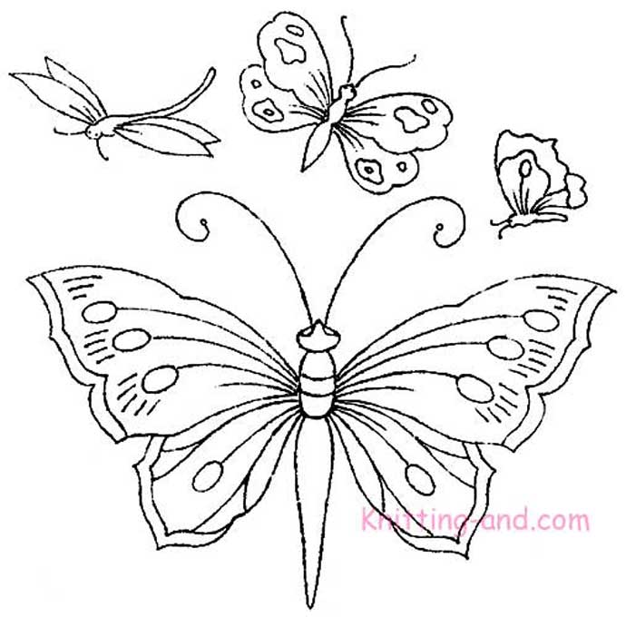 [40-butterflies1.jpg]
