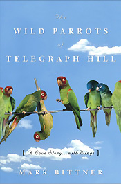 [wild+parrots.jpg]