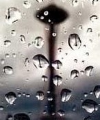 [seattle-rain.jpg]