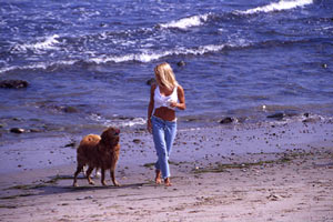 [beach+pam+dog.jpg]