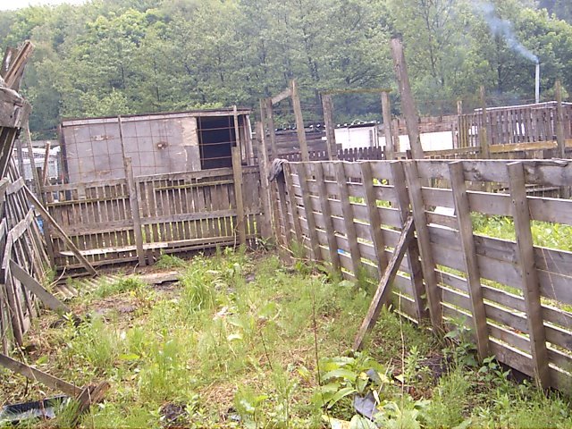the shed at the beginning of the plot first day