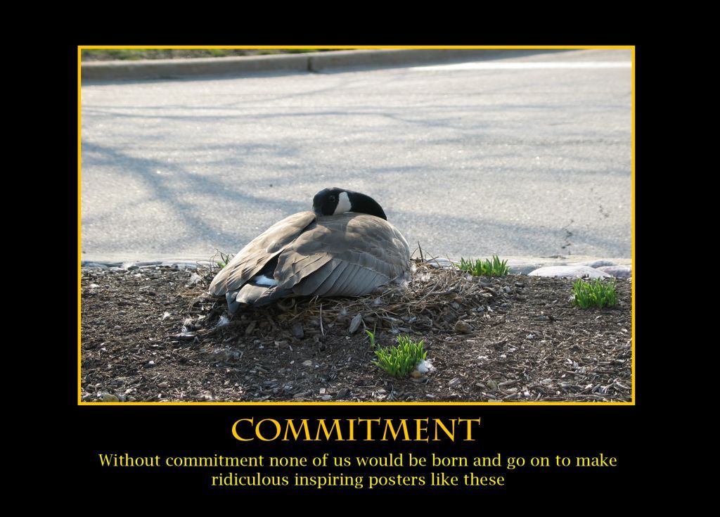 [Commitment+copy.jpg]