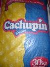 Cachupin adulto